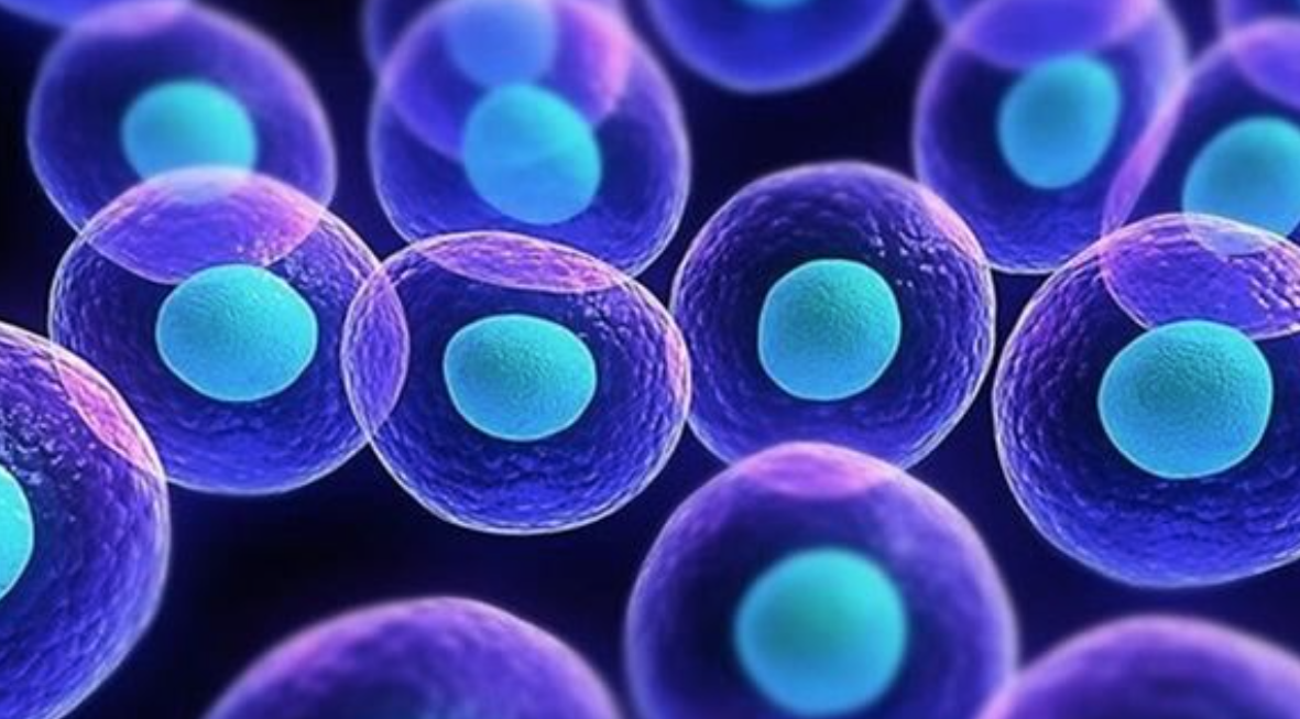 Célula sintética capaz de crecer y reproducirse: Un avance