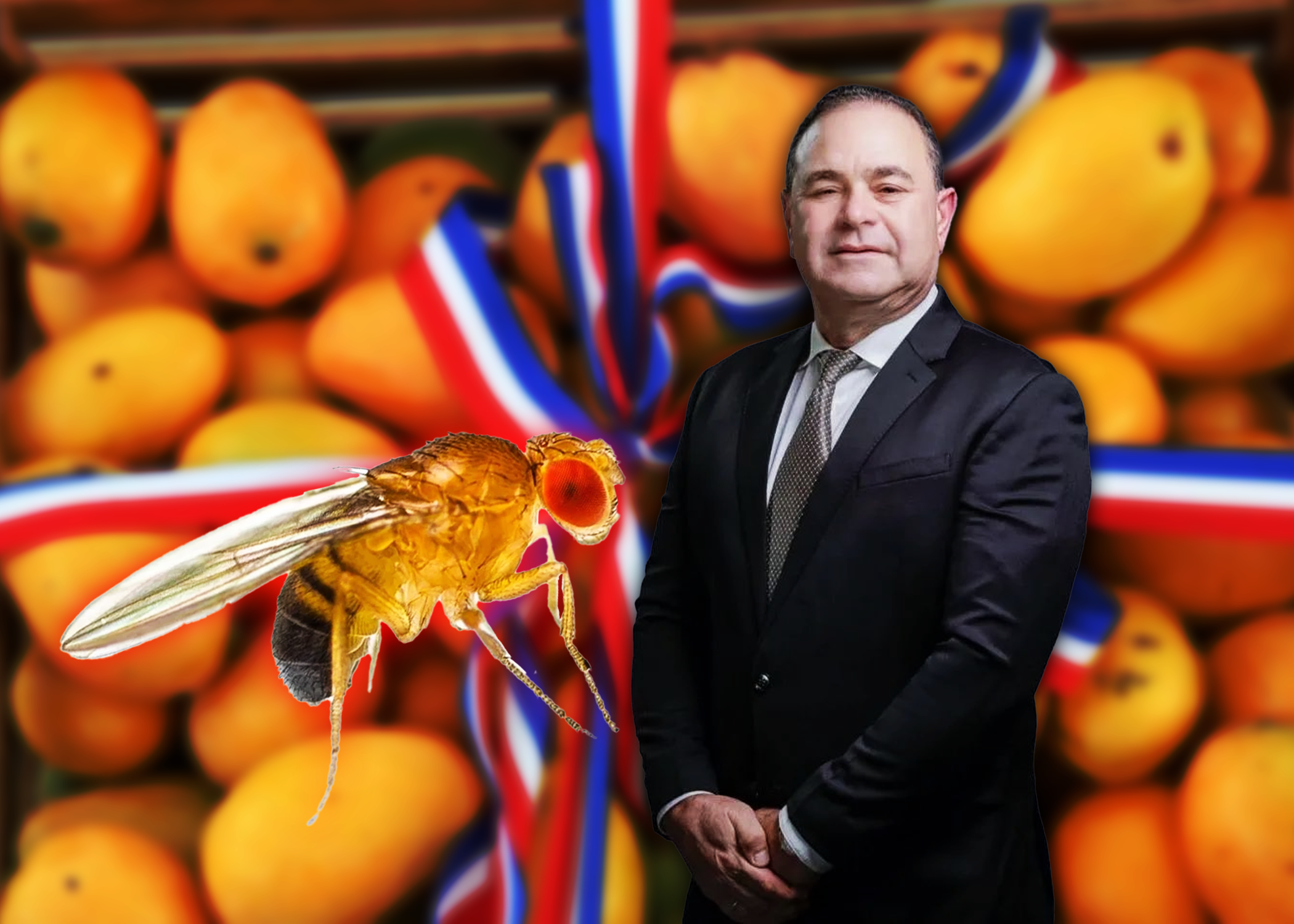 Ministro de agricultura estima  que para el mes de octubre se  regularizará la situación  con la "mosca de la fruta"