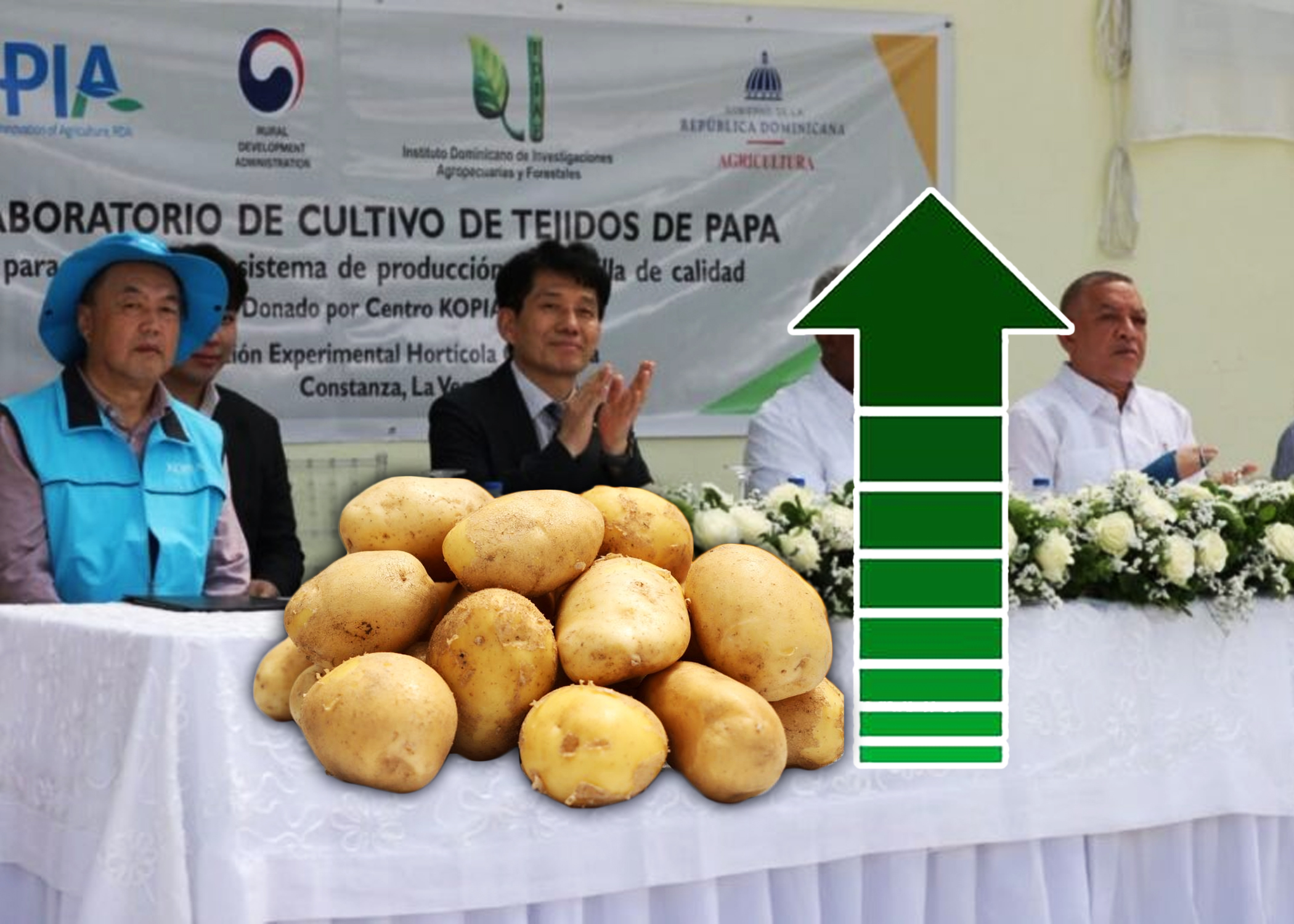 Laboratorio de semilla promete mejorar la calidad de la papa