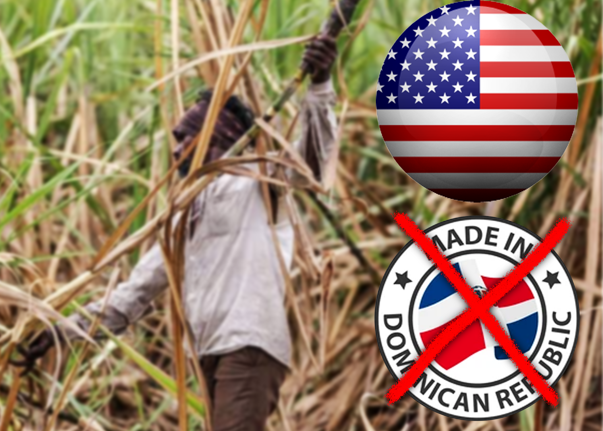 Grupo de derechos humanos  piden que EE.UU prohíba  importaciones por trabajo  forzoso en Rep. Dom.