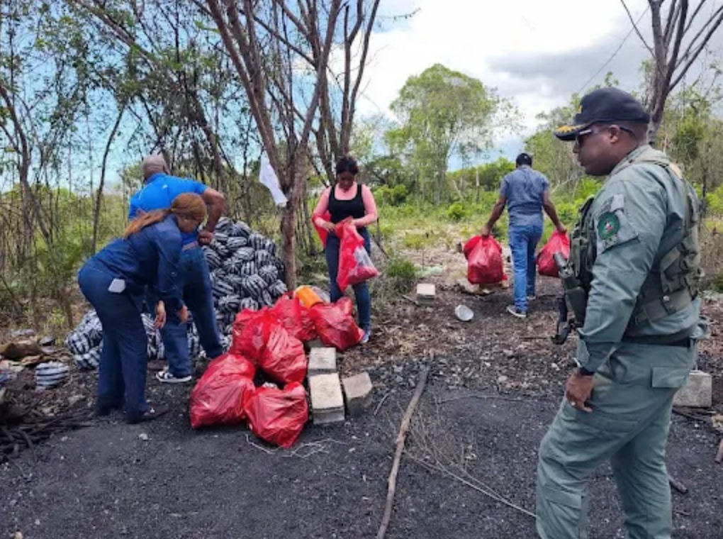 Medio Ambiente decomisa descenas de sacos de carbón vegetal en Cumayasa