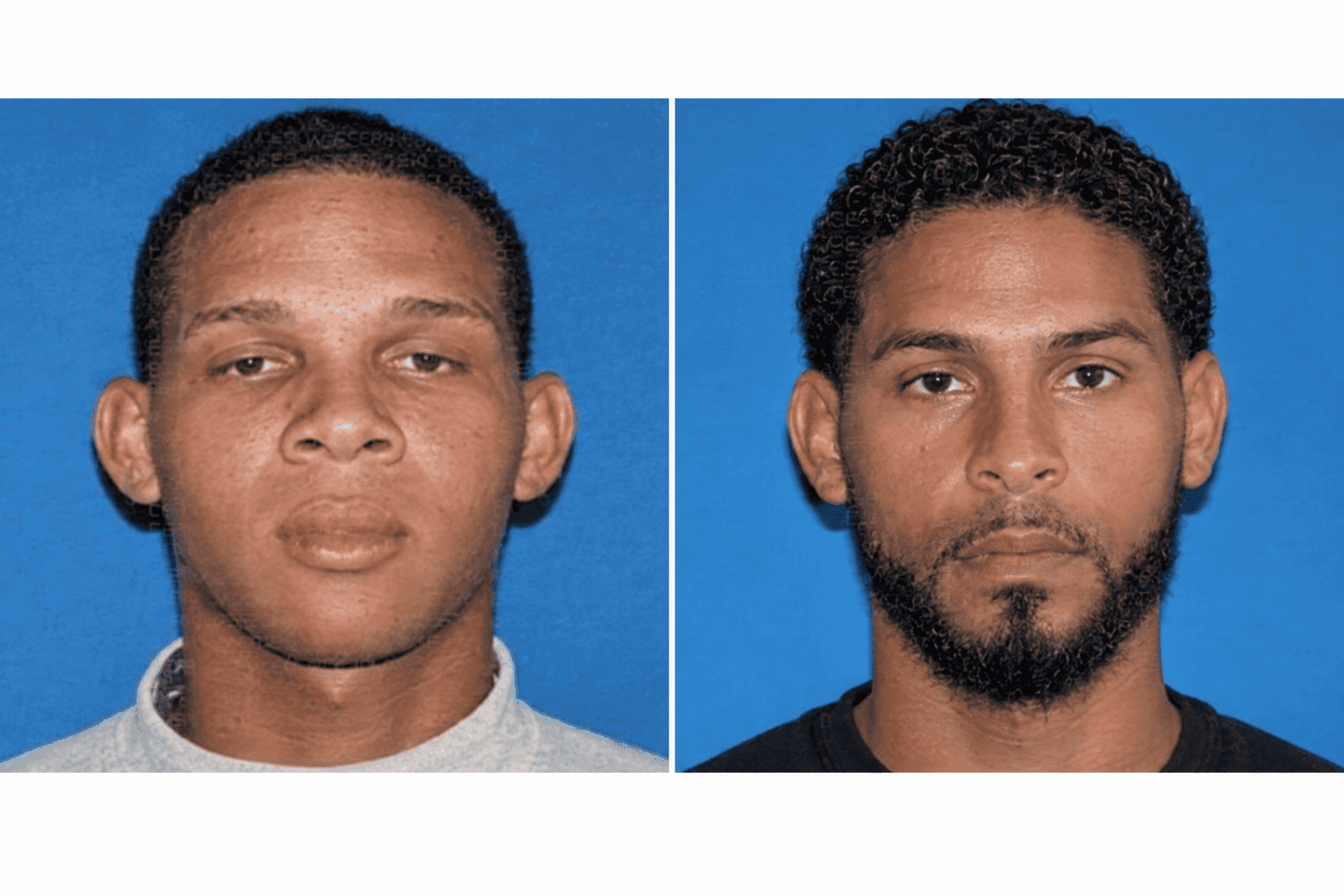 Dos presuntos delincuentes mueren durante operativos policiales en Verón-Punta Cana y Salcedo