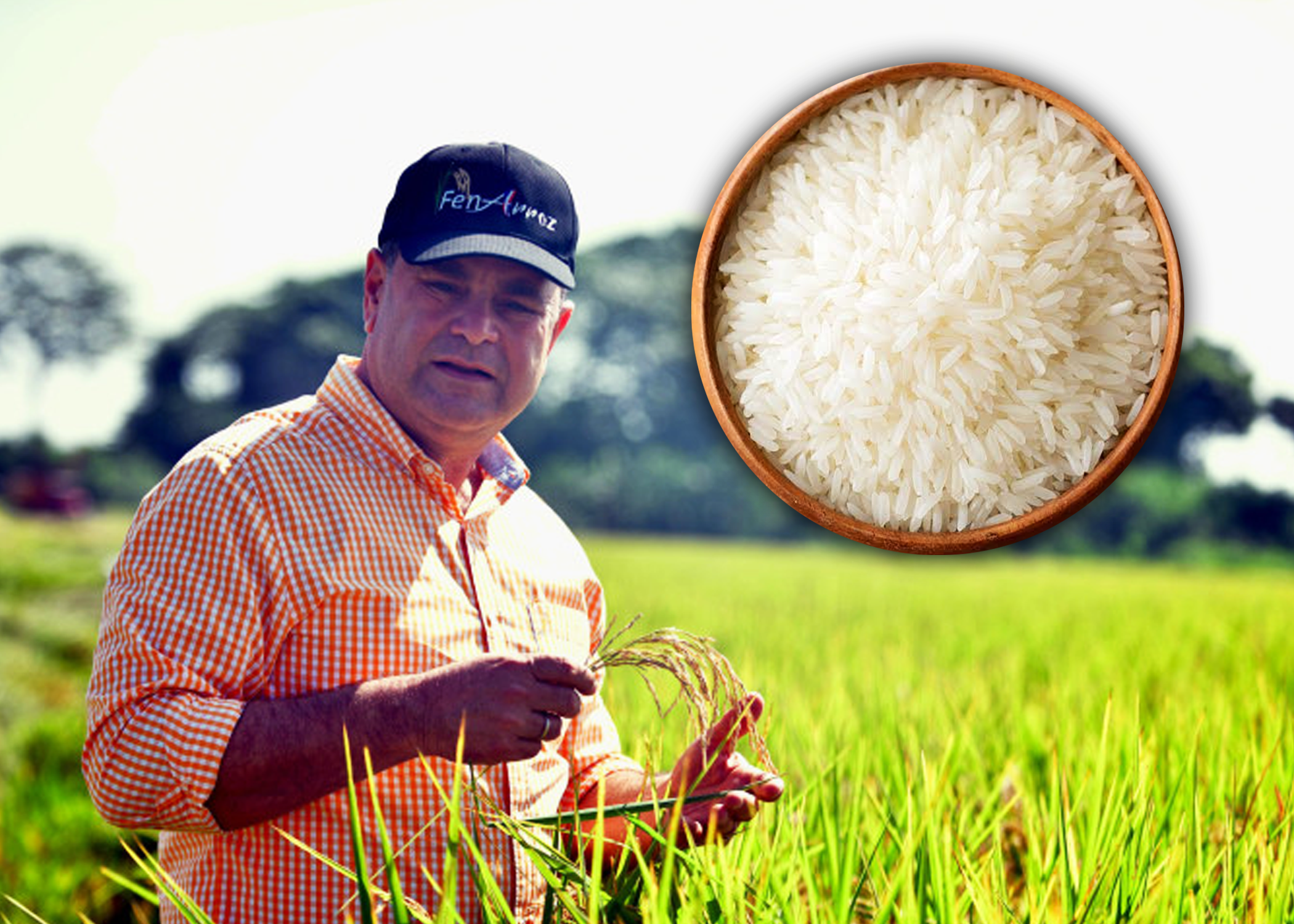 Gobierno asegura que derogación de aranceles al arroz no implica abandono del sector