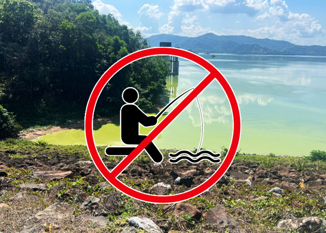 La Contaminación en la Presa de Hatillo extingue la industria de la pesca en Cotuí