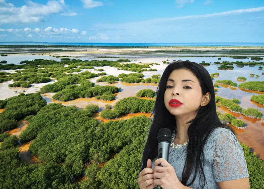 Procuradora general crea equipo especial para las áreas protegidas